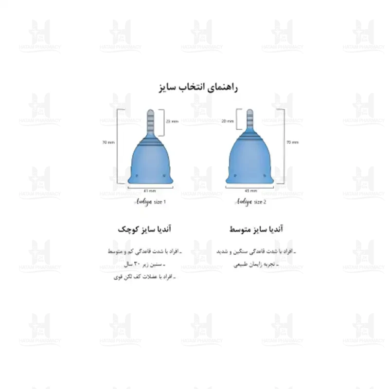 کاپ قاعدگی آندیا مدل 2 سایز متوسط